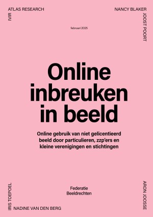 Rapport Online Inbreuken in beeld